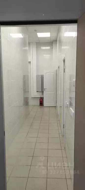 Торговая площадь в Санкт-Петербург ул. Пестеля, 14 (150 м) - Фото 2