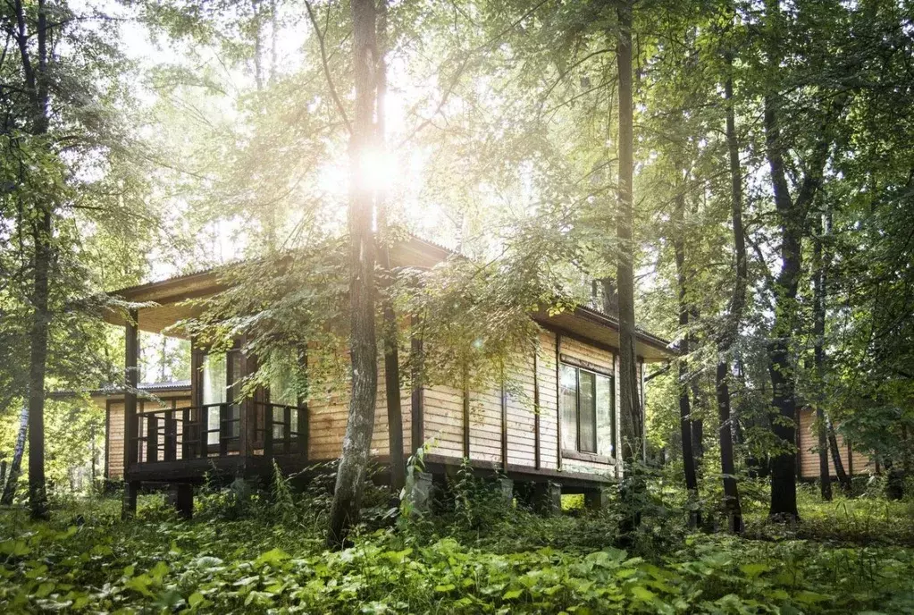 Дом в Московская область, Чехов муниципальный округ, д. Прохорово ул. ... - Фото 1