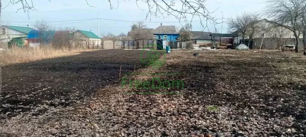 Участок в Белгородская область, Корочанский район, с. Погореловка ... - Фото 1