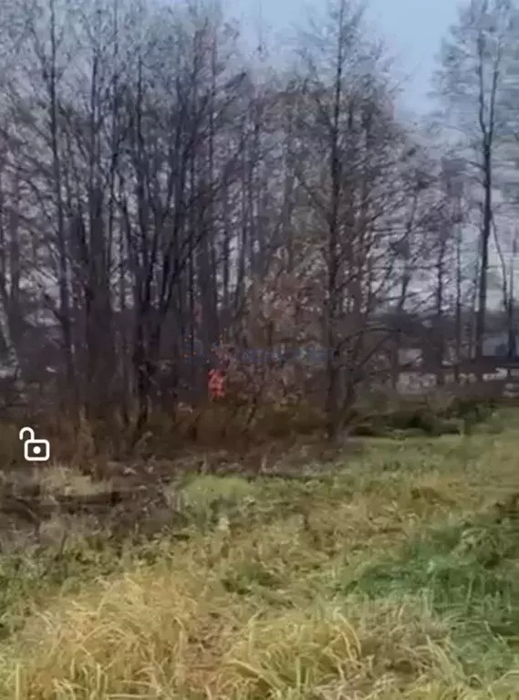 Участок в Нижегородская область, Нижний Новгород д. Ройка, Здоровье ... - Фото 2