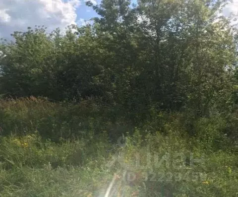 Участок в Московская область, Зарайск муниципальный округ, д. ... - Фото 2