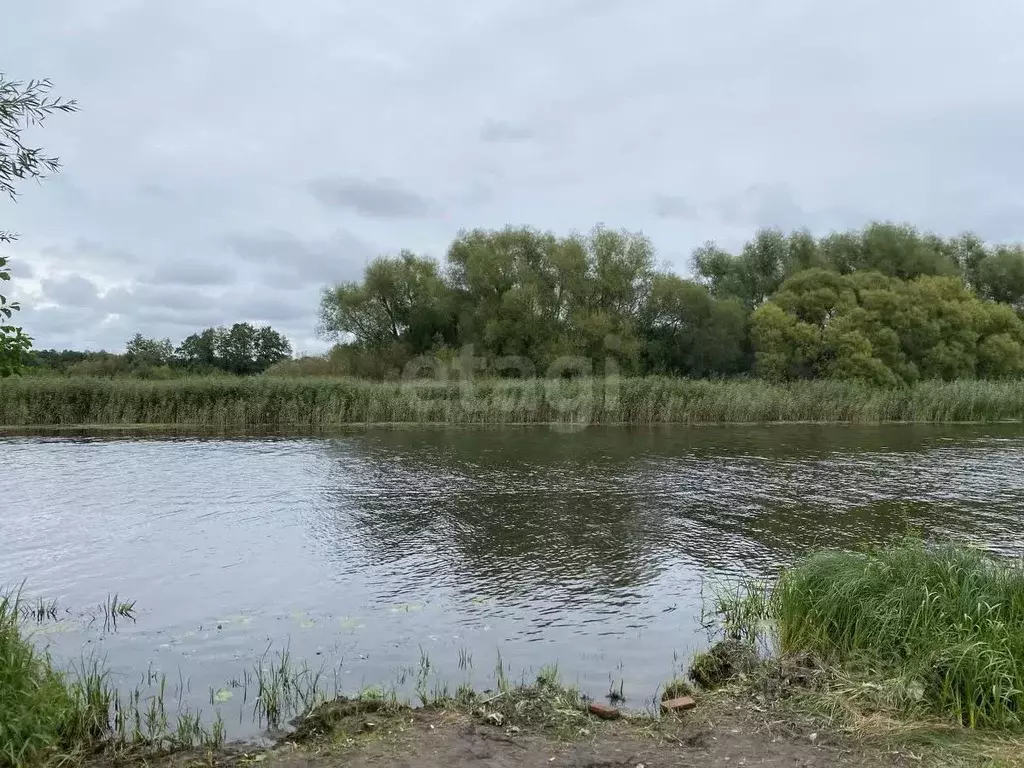 Участок в Калининградская область, Полесский муниципальный округ, пос. ... - Фото 1