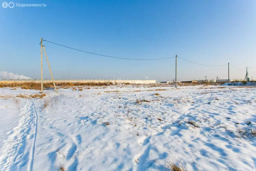 Участок в Новосибирский район, Толмачёвский сельсовет, село ... - Фото 1