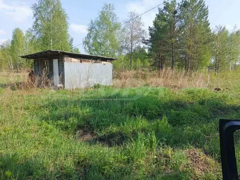 Участок в Тюменская область, Нижнетавдинский район, Здоровье-3 СТ  ... - Фото 0