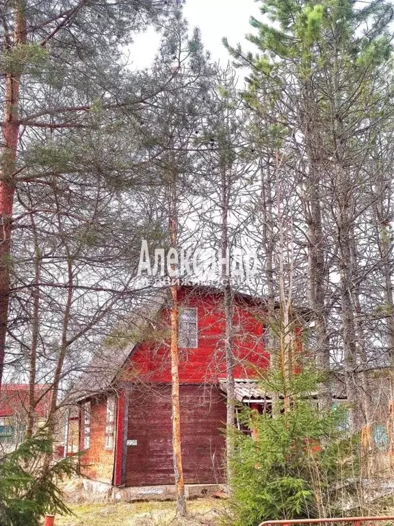 Участок в Ленинградская область, Лужский район, Мшинское с/пос, ... - Фото 2