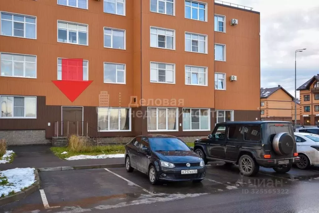 Торговая площадь в Новгородская область, Великий Новгород ул. ... - Фото 1