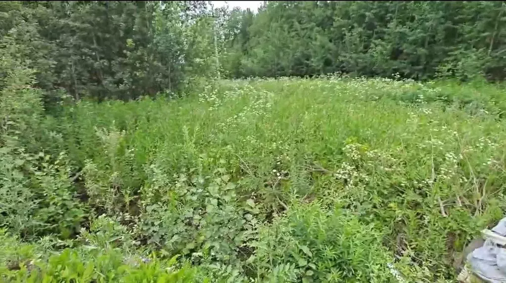 Участок в Вологодская область, Вологодский муниципальный округ, д. ... - Фото 0