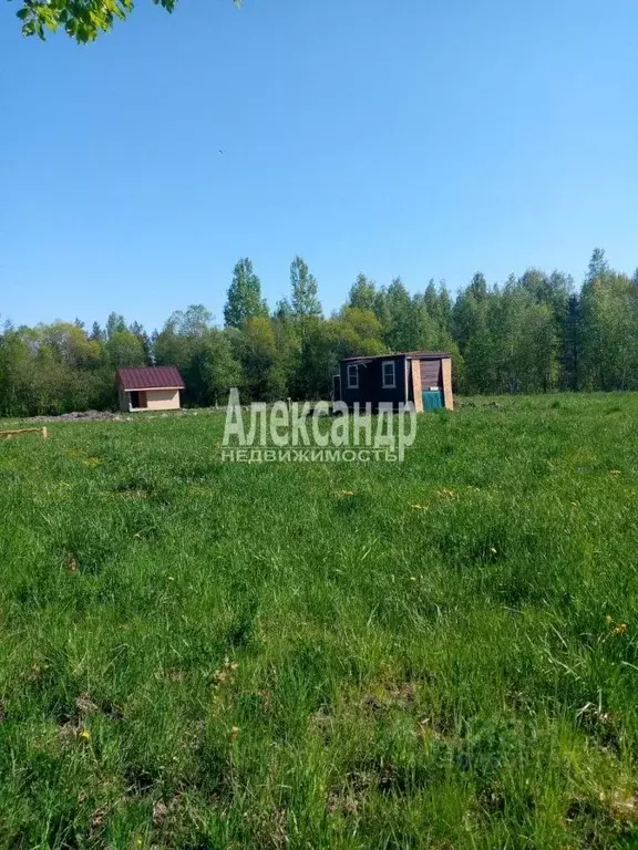 Участок в Ленинградская область, Выборгский район, Советское городское ... - Фото 0