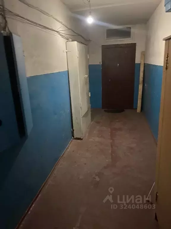 1-к кв. Липецкая область, Липецк ул. Катукова, 18 (31.3 м) - Фото 2