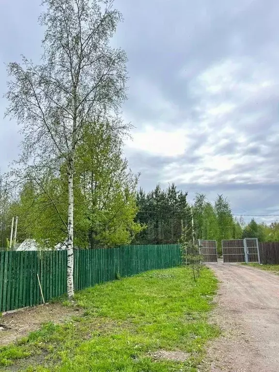 Участок в Ленинградская область, Всеволожский район, Агалатовское ... - Фото 1