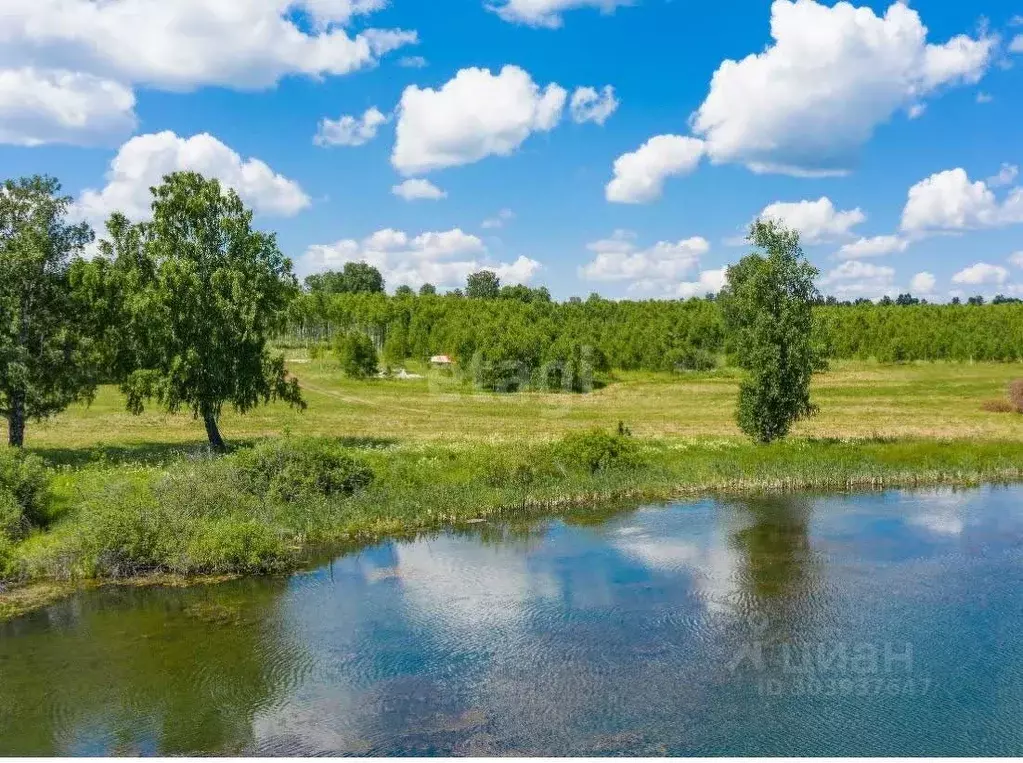 Участок в Новосибирская область, Мошковский район, Березовый кп  (10.0 ... - Фото 0