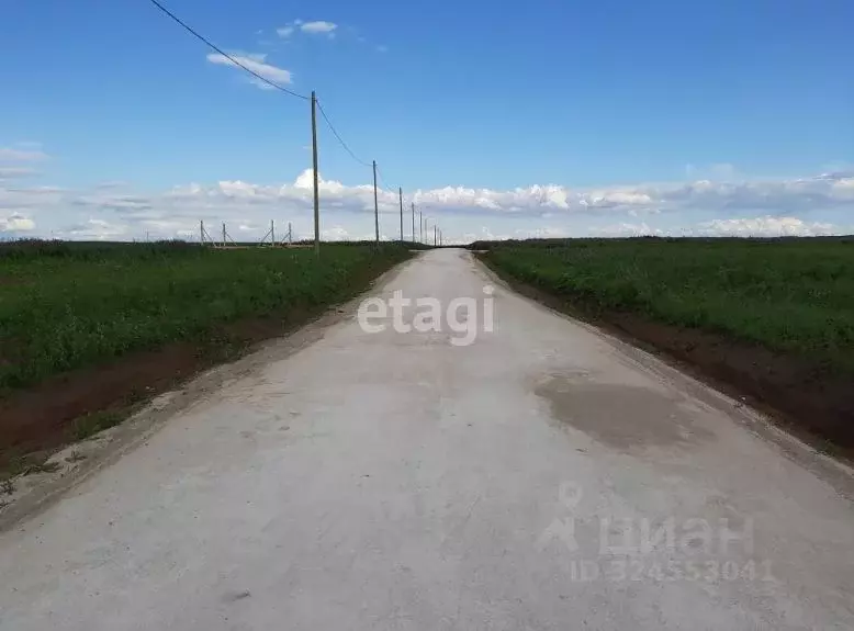 Участок в Пермский край, Пермский муниципальный округ, Мокино лайф кп  ... - Фото 2