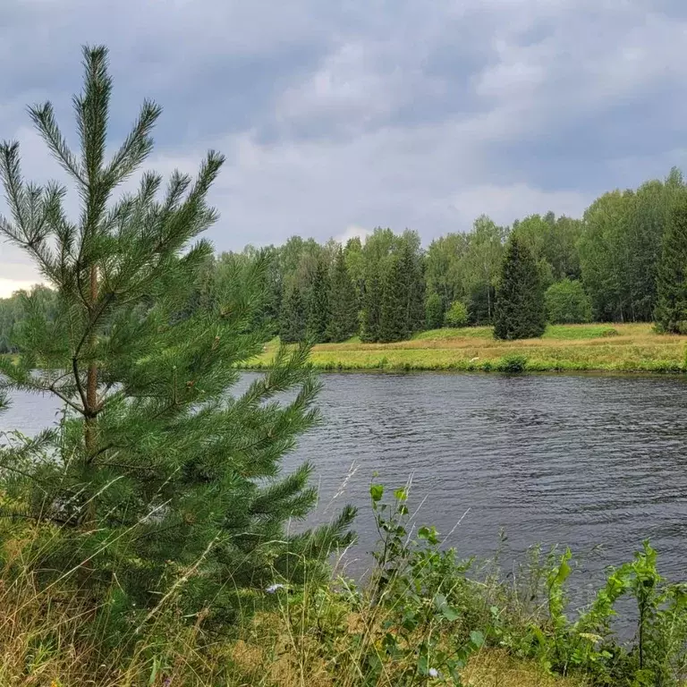 Участок в Московская область, Дмитровский муниципальный округ, д. ... - Фото 2