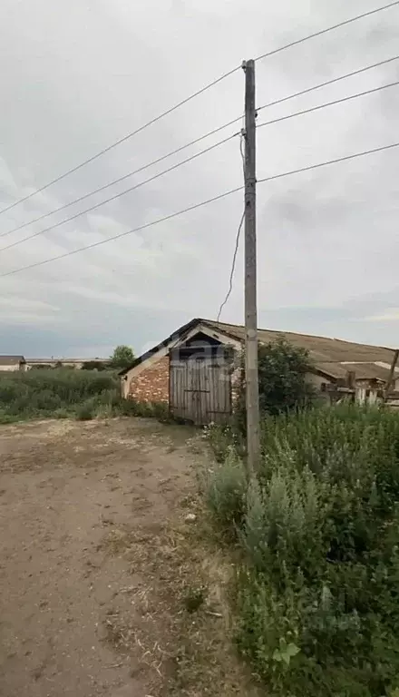 Участок в Тульская область, Куркинский район, пос. Самарский ... - Фото 1