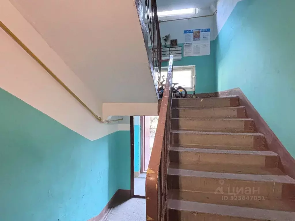 2-к кв. Ленинградская область, Волховский район, Пашское с/пос, с. ... - Фото 2