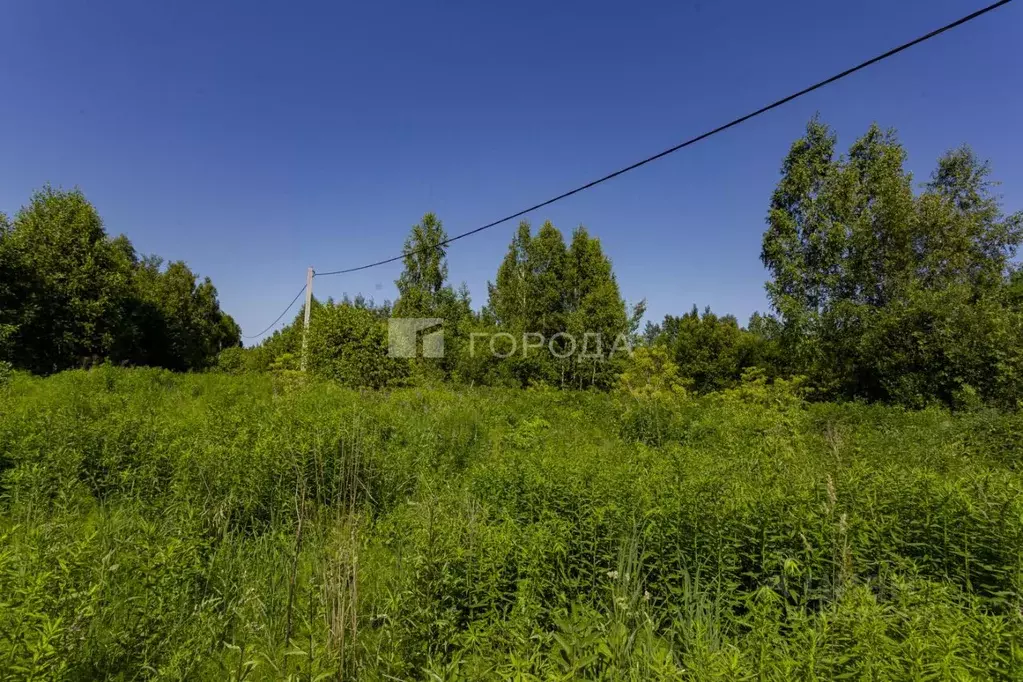 Участок в Кемеровская область, Новокузнецкий муниципальный округ, пос. ... - Фото 1