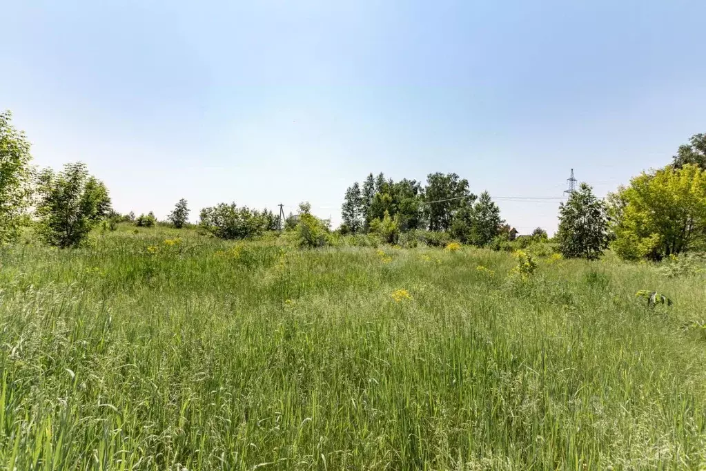 Участок в Алтайский край, Первомайский район, с. Санниково, Овощевод ... - Фото 2