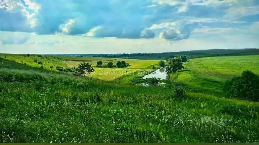 Участок в Тульская область, Кимовский район, Епифанское муниципальное ... - Фото 0