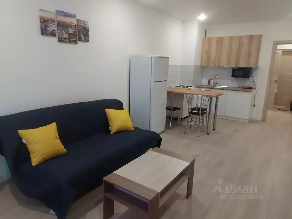 Студия Пензенская область, Пенза ул. 65-летия Победы, 29 (31.0 м) - Фото 1