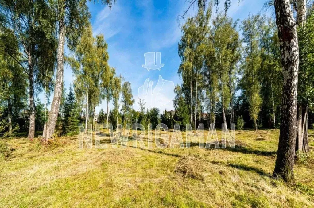 Участок, 24 сот., сельхоз (снт или днп) - Фото 1
