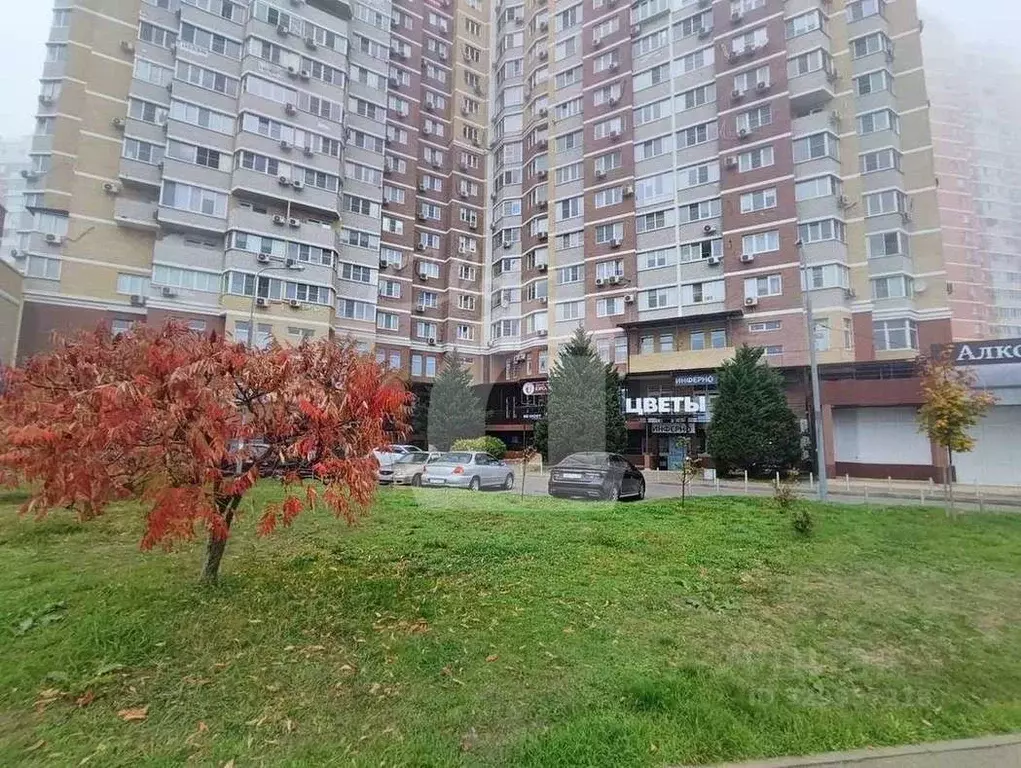 Помещение свободного назначения в Краснодарский край, Краснодар ... - Фото 1