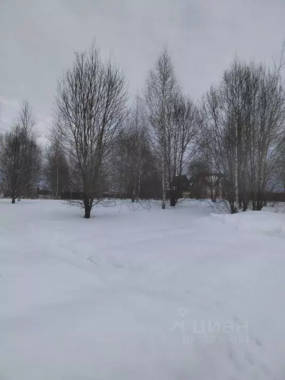 Участок, 50 сот., сельхоз (снт или днп) - Фото 2