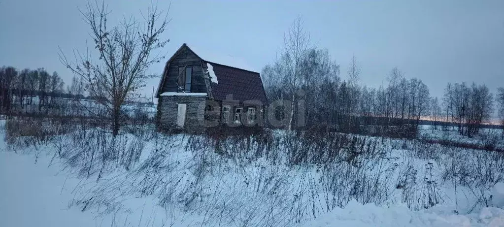 Дом в Брянская область, Брянский район, Добрунское с/пос, пос. ... - Фото 1