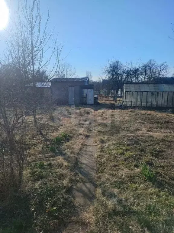 Дом в Псковская область, Островский район, Бережанская волость, ... - Фото 1