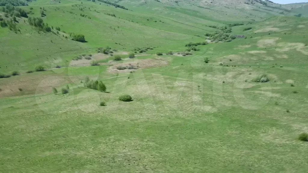 Участок 38 га (СНТ, ДНП) - Фото 1