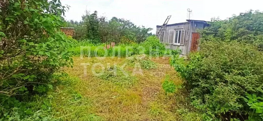 Участок в Новгородская область, Боровичский район, Сушанское с/пос, д. ... - Фото 2