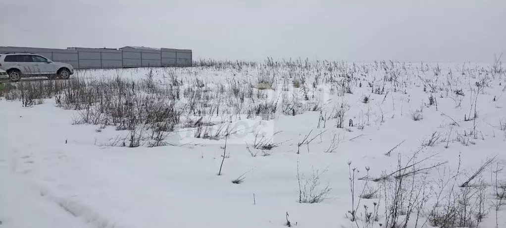 Участок в Воронежская область, Хохольский район, с. Новогремяченское ... - Фото 1