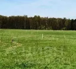 Участок в Санкт-Петербург пос. Понтонный,  (6.0 сот.) - Фото 1