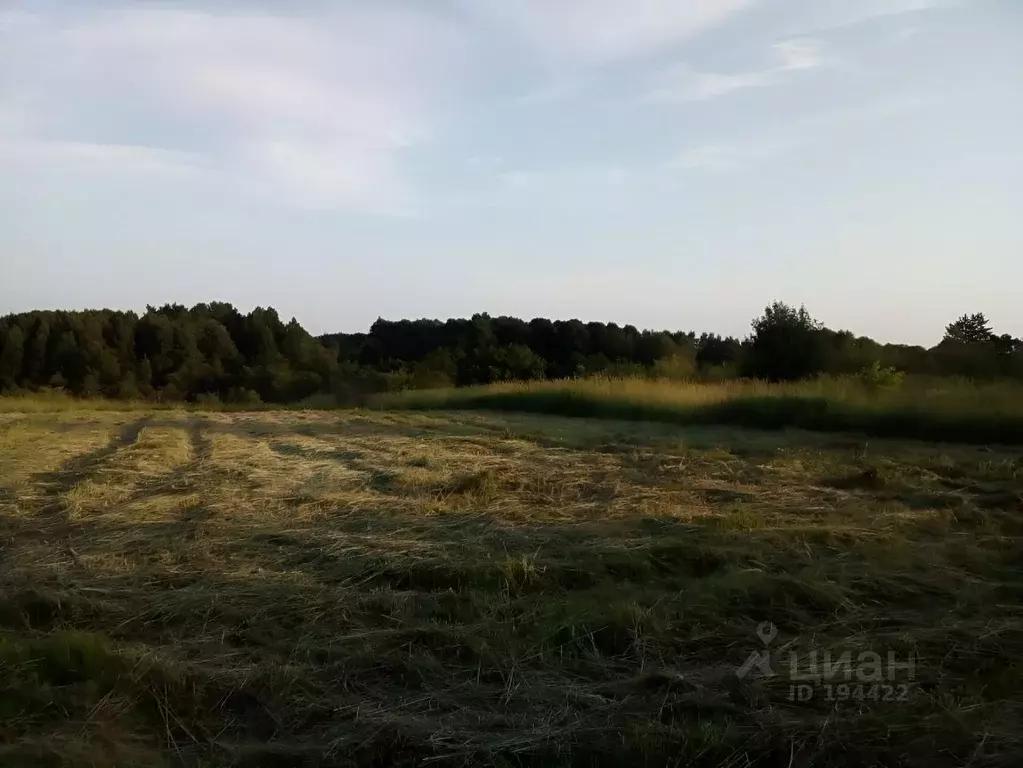 Участок в Московская область, Дмитровский городской округ, д. . - Фото 1