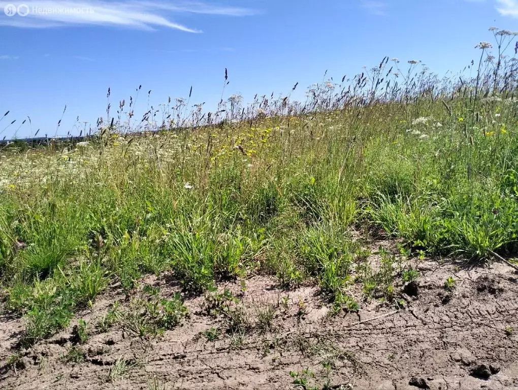 Участок в Пермский муниципальный округ, территория Урочище Россохи (10 ... - Фото 1