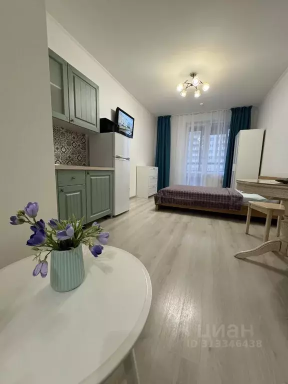Студия Санкт-Петербург аллея Арцеуловская, 21 (25.0 м) - Фото 1