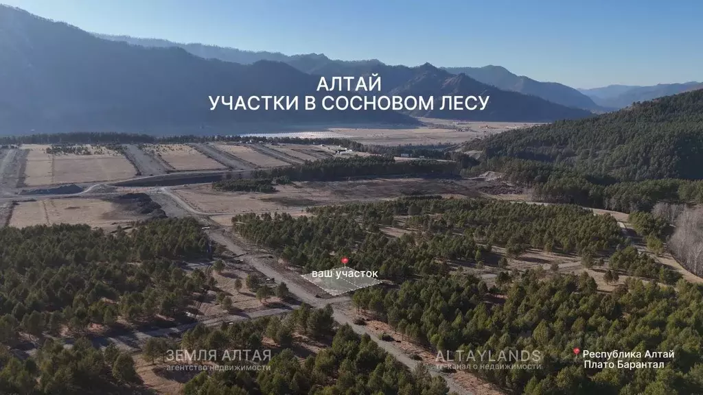 Участок в Алтай, Чемальский район, Элекмонарское с/пос  (12.0 сот.) - Фото 1