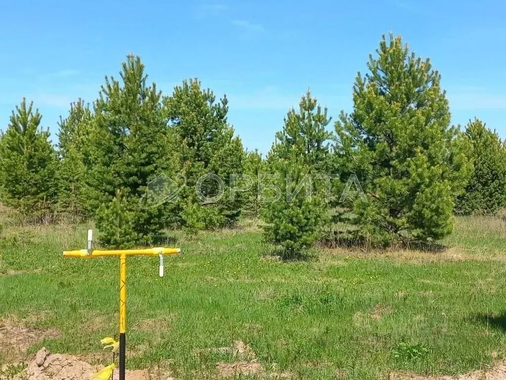 Участок в Тюменская область, Тюменский муниципальный округ, Каменское ... - Фото 0