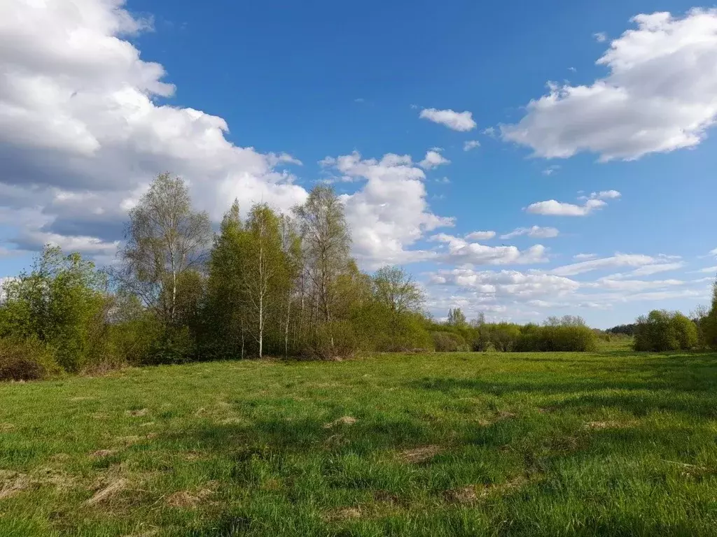 Участок в Ленинградская область, Выборгский район, Красносельское ... - Фото 0