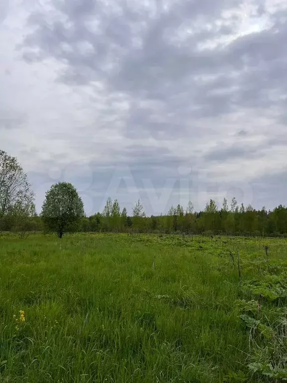 Участок 6,1 сот. (ИЖС) - Фото 1