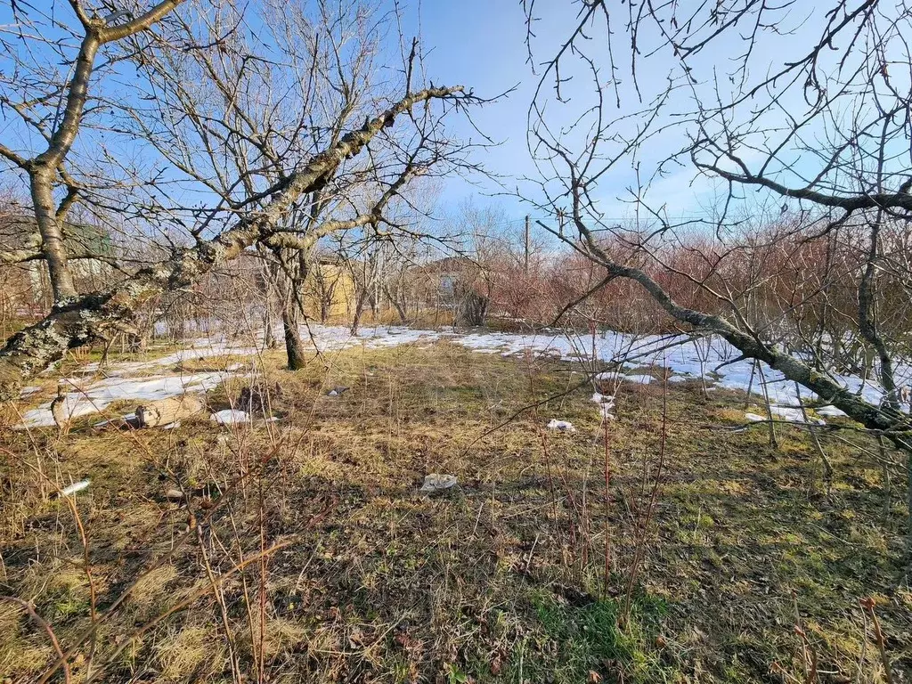 Участок 4 сот. (СНТ, ДНП) - Фото 1