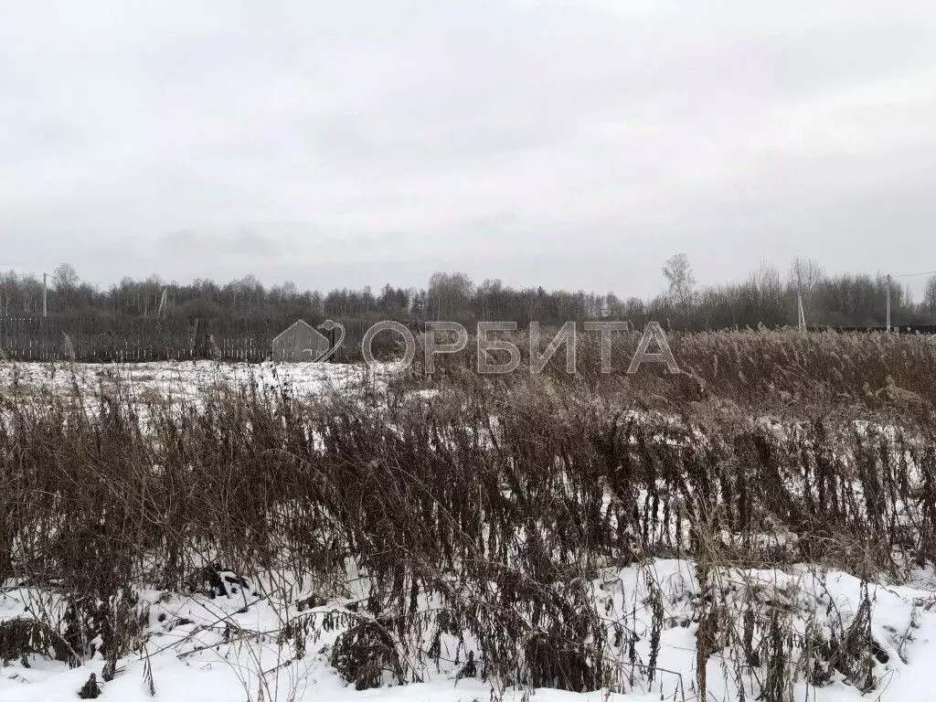 Участок в Тюменская область, Тюмень Велижанский тракт, 7-й км, 8 ... - Фото 1