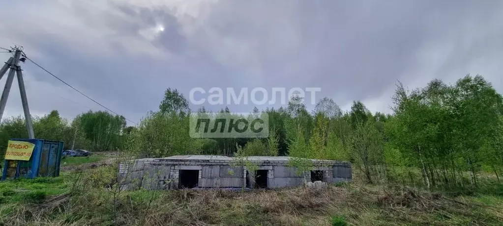 Участок в Нижегородская область, Бор муниципальный округ, д. Колобово ... - Фото 1