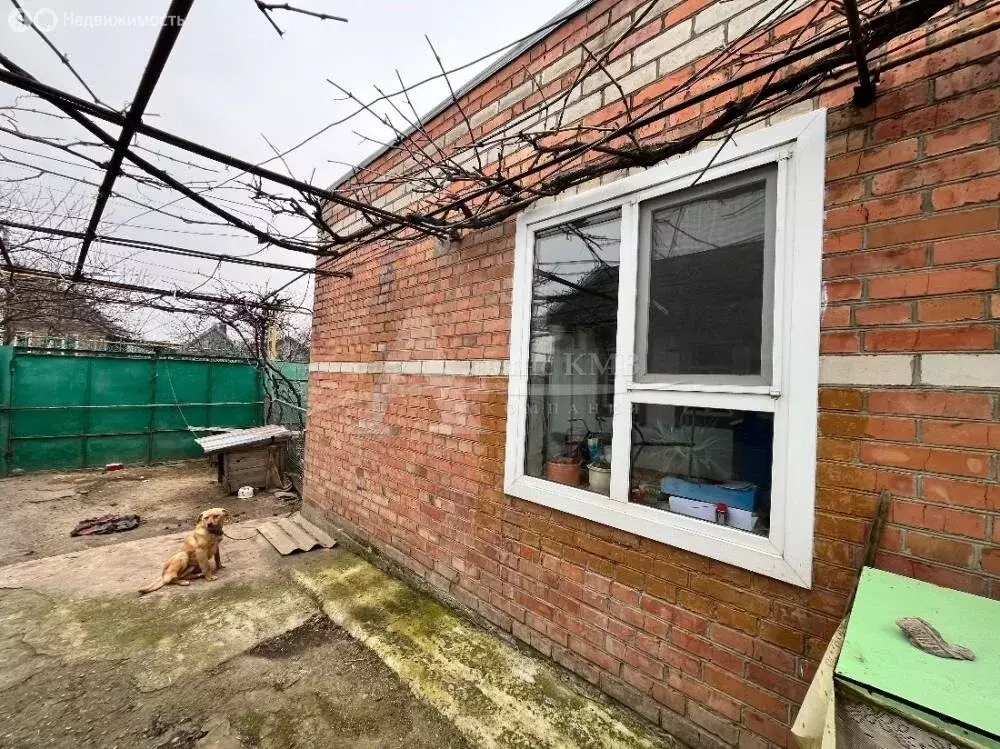 Дом в Новопавловск, Курская улица (40 м) - Фото 1