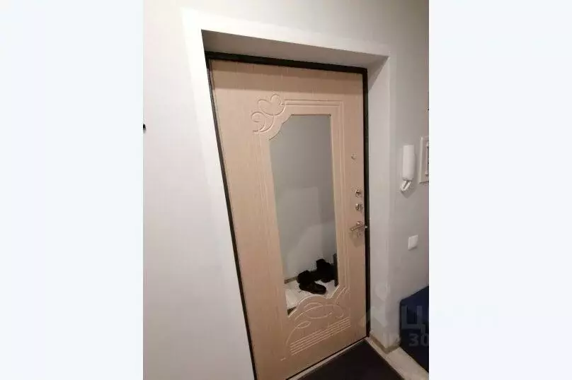 1-к кв. Московская область, Подольск городской округ, пос. Сосновый ... - Фото 2