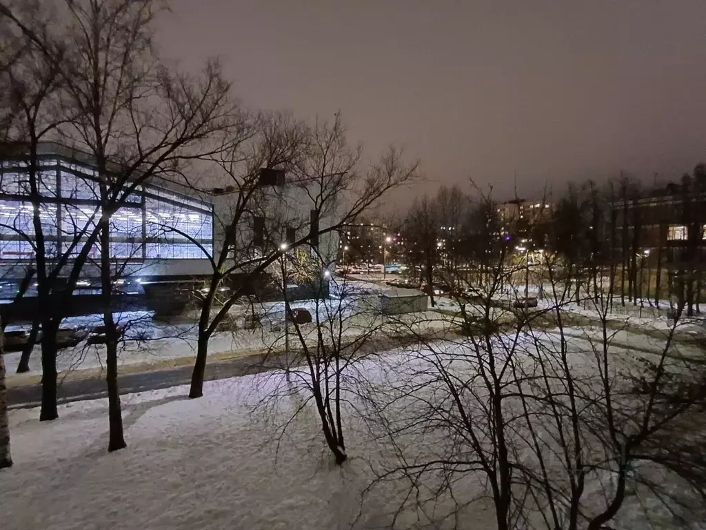 1-к кв. Санкт-Петербург просп. Ветеранов, 133к2 (31.0 м) - Фото 1