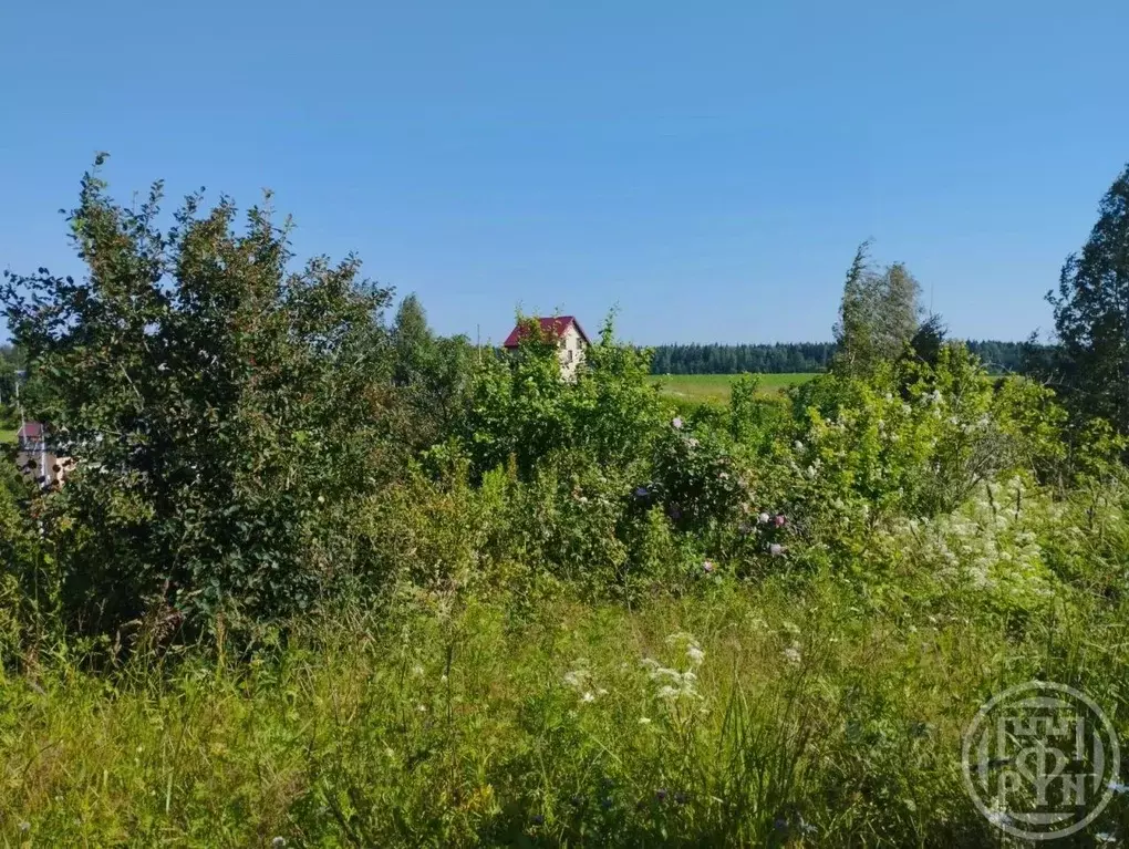 Участок в Ленинградская область, Сертолово Всеволожский район, ул. ... - Фото 2