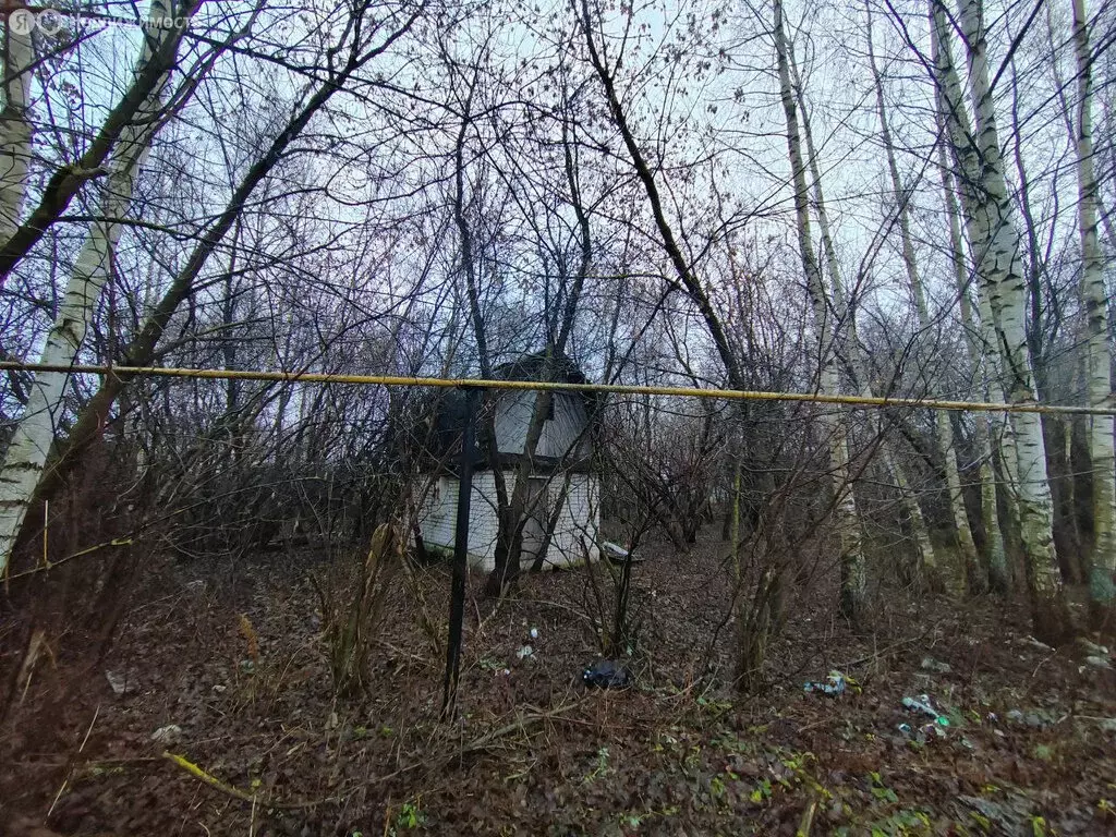 Участок в Нижегородская область, Бор (6.2 м) - Фото 1