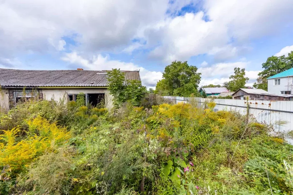 Участок в Хабаровский край, Хабаровский район, Тополевское с/пос, с. ... - Фото 1