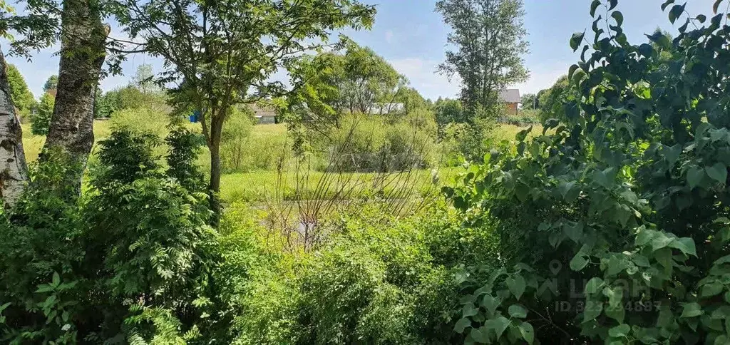 Участок в Калужская область, Боровский муниципальный округ, ... - Фото 2