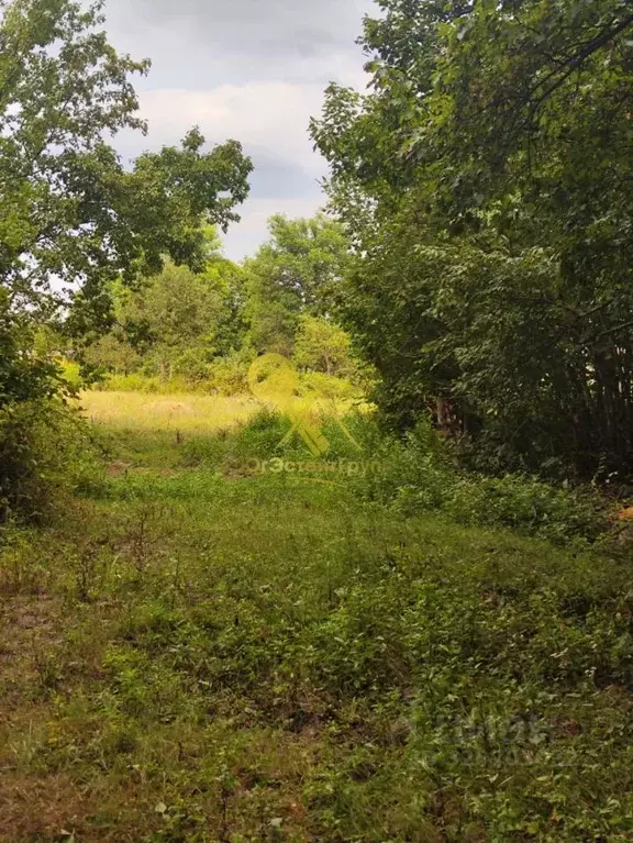 Участок в Краснодарский край, Апшеронский район, Нефтегорское ... - Фото 1